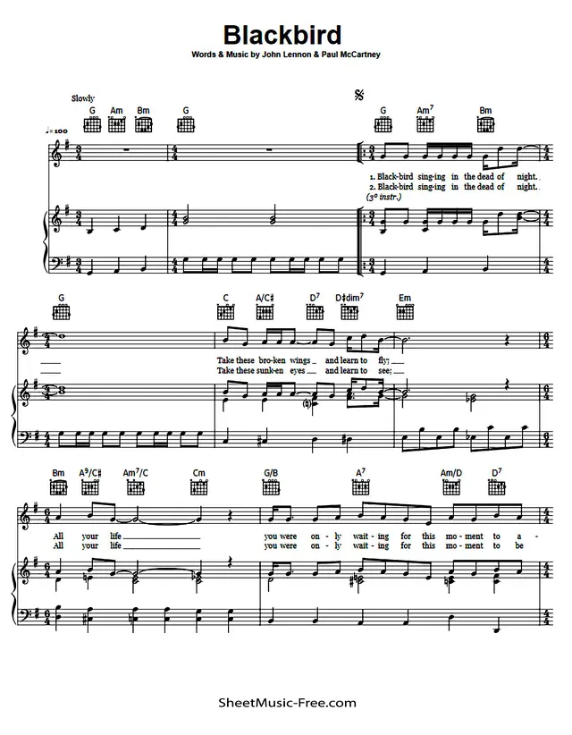 Blackbird
